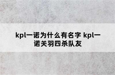 kpl一诺为什么有名字 kpl一诺关羽四杀队友